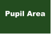 Pupil Area